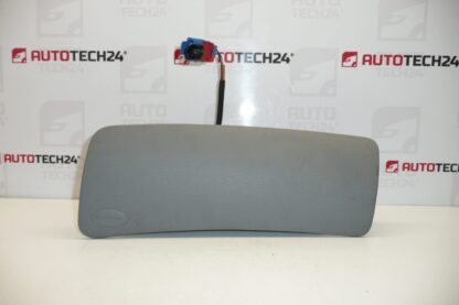 Beifahrerairbag Citroën C2 C3 96379999ZQ 8216Q1