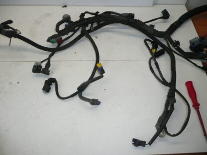 Motorkabelbaum Peugeot 207 1.4i KFT 9674808180 9675247080