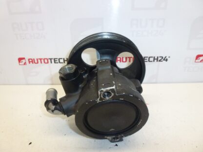 Servo Citroën Peugeot 1.6 HDI 9665709080 4007WL REPAS – Bild 3