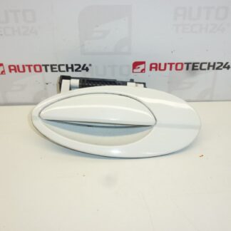 Türgriff hinten links Citroën C5 I und II 9631831077 9101S7 weiß