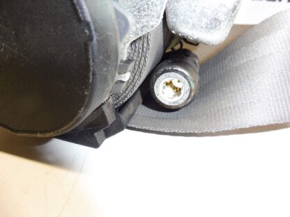 Riemen vorne rechts Citroën Xsara Picasso 96314386GW 8973LJ – Bild 2