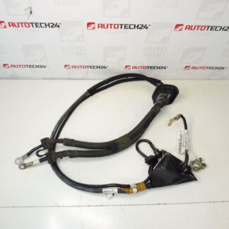 Anschlusskabel + Pole in Citroën Peugeot 1497069080 1497070080 Motor