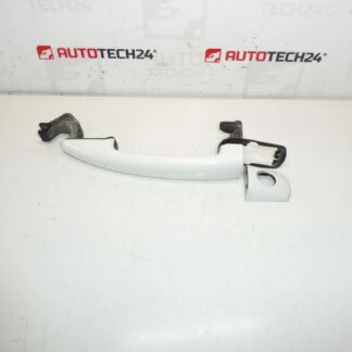 Türgriff Citroën Peugeot grau EWPB 9101GF