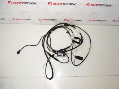 Antennenkabel Citroën C8 Peugeot 807 1489134080 1494844080
