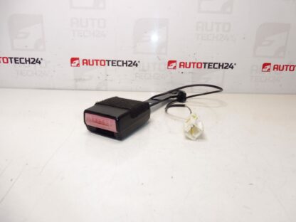 Passagierpasshalter Peugeot 407 8973pv