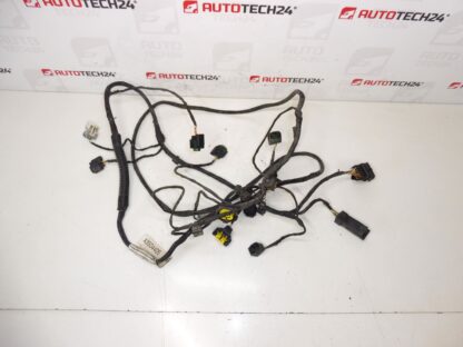 Kabelbaum PDC Vorne Citroen C5 X7 9684768580 6577EC