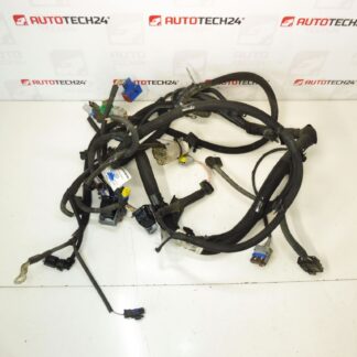 Motorischer Kabelbaum Citroën C3 II 1.4i KFT 9674808180 9675247080
