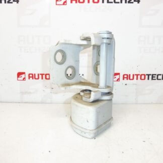 Stopfen der linken hinteren Tür EWP Peugeot 207 15189580 9037C1