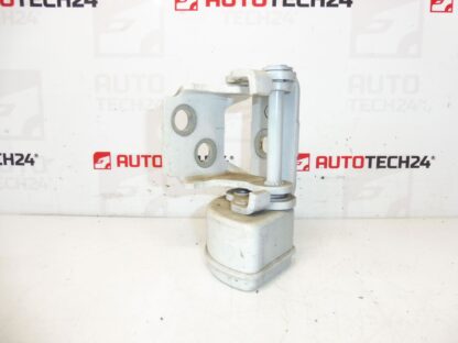 Stopfen der linken hinteren Tür EWP Peugeot 207 15189580 9037C1