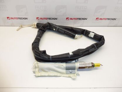Linker Dachairbag Peugeot 207 9650247880 8331W8