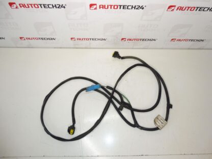Kabelbaum Für Vordere Nebelscheinwerfer Peugeot 407 9654469680 6567HW