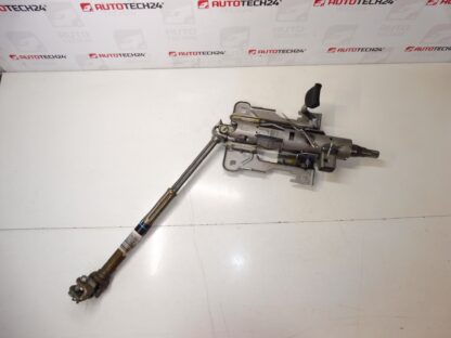 Lenksäule Citroën C3 Picasso 4123GZ