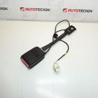 Peuge Hrage Pauge war Lockhalter 308 8975L0