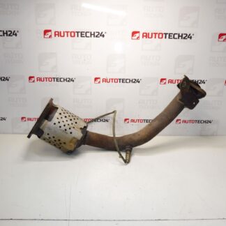 Katalysator Peugeot 206 206+ 1