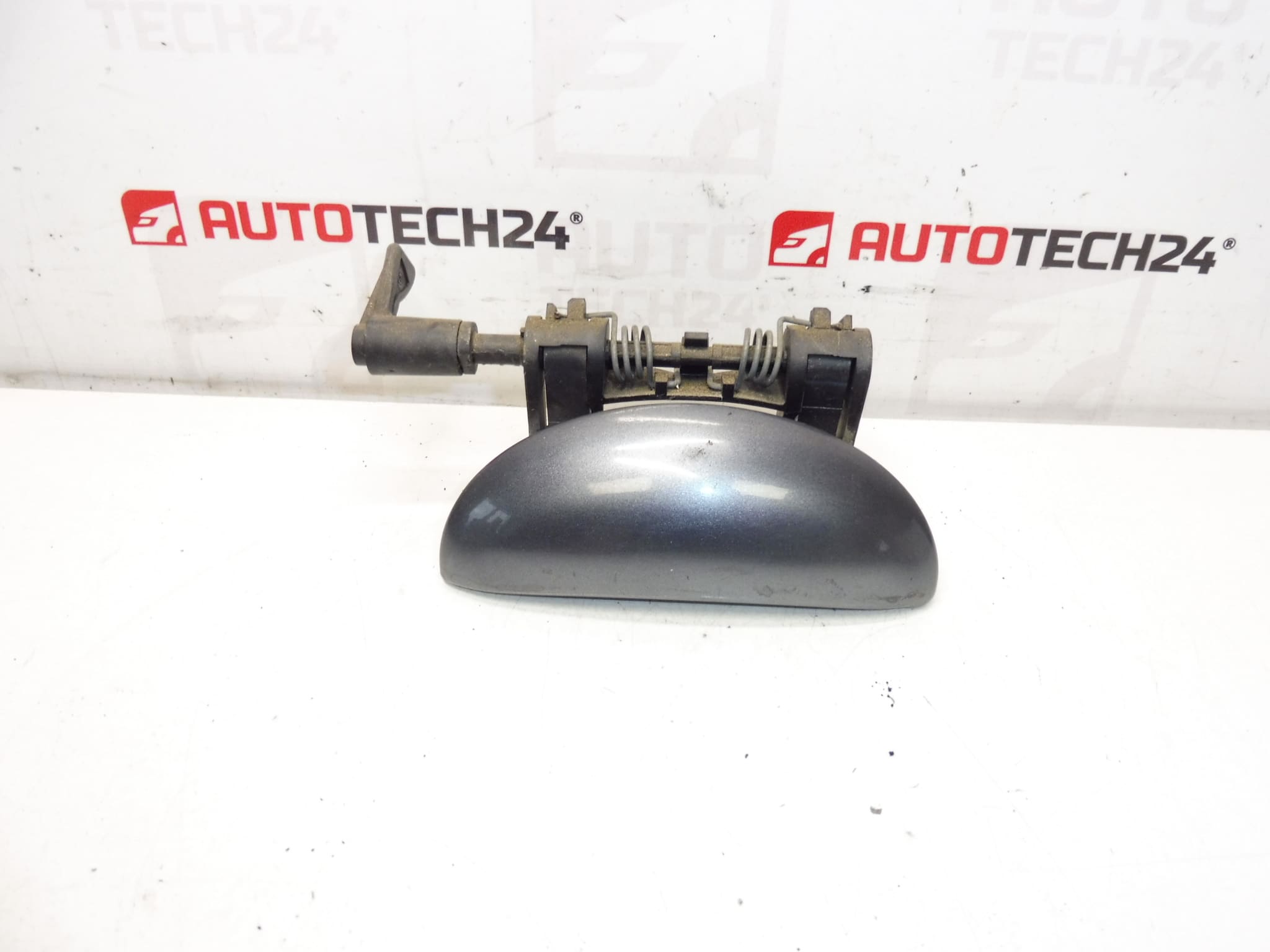 Türgriff rechts hinten KTH Peugeot 206 206+ KGS 9101N9