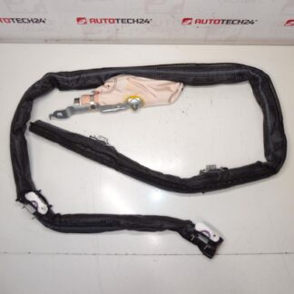 Airbag Decke rechts Peugeot 308 T9 9805768380