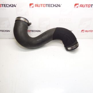 Luftanschluss Citroën Peugeot 2.0 HDI 0382NE